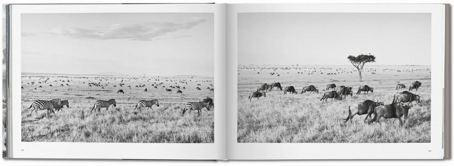Taschen Sebastião Salgado. Africa