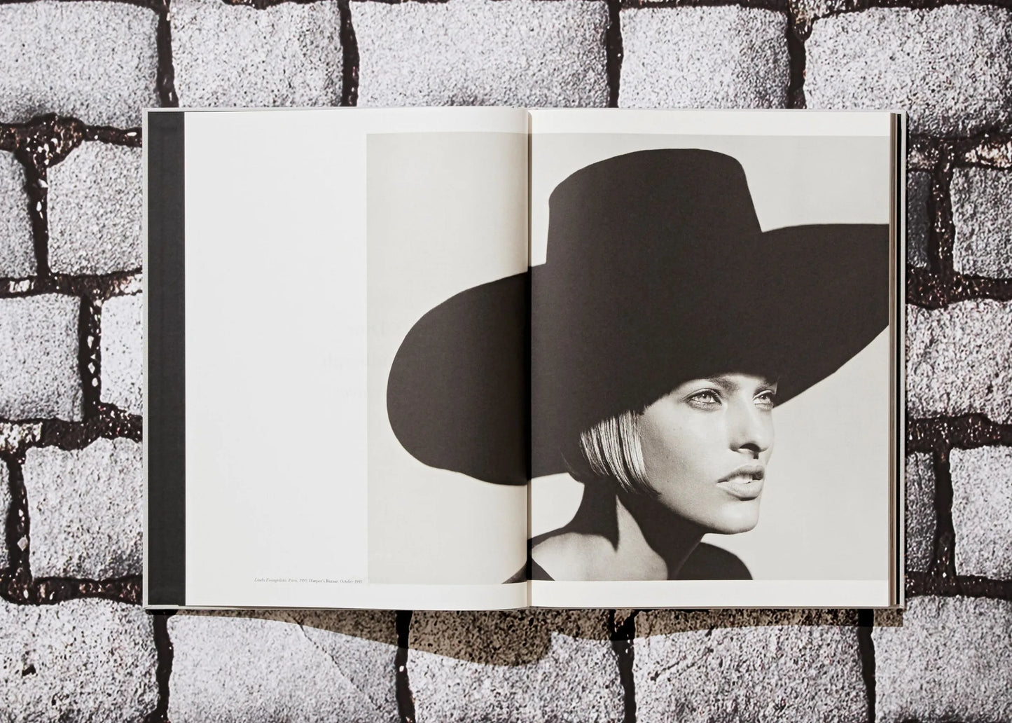 Taschen Peter Lindbergh. Dior
