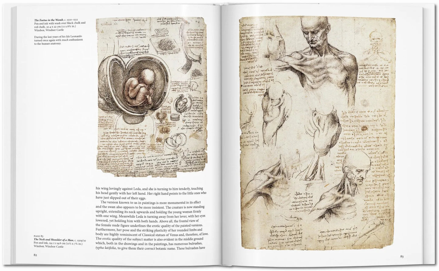 Taschen Leonardo