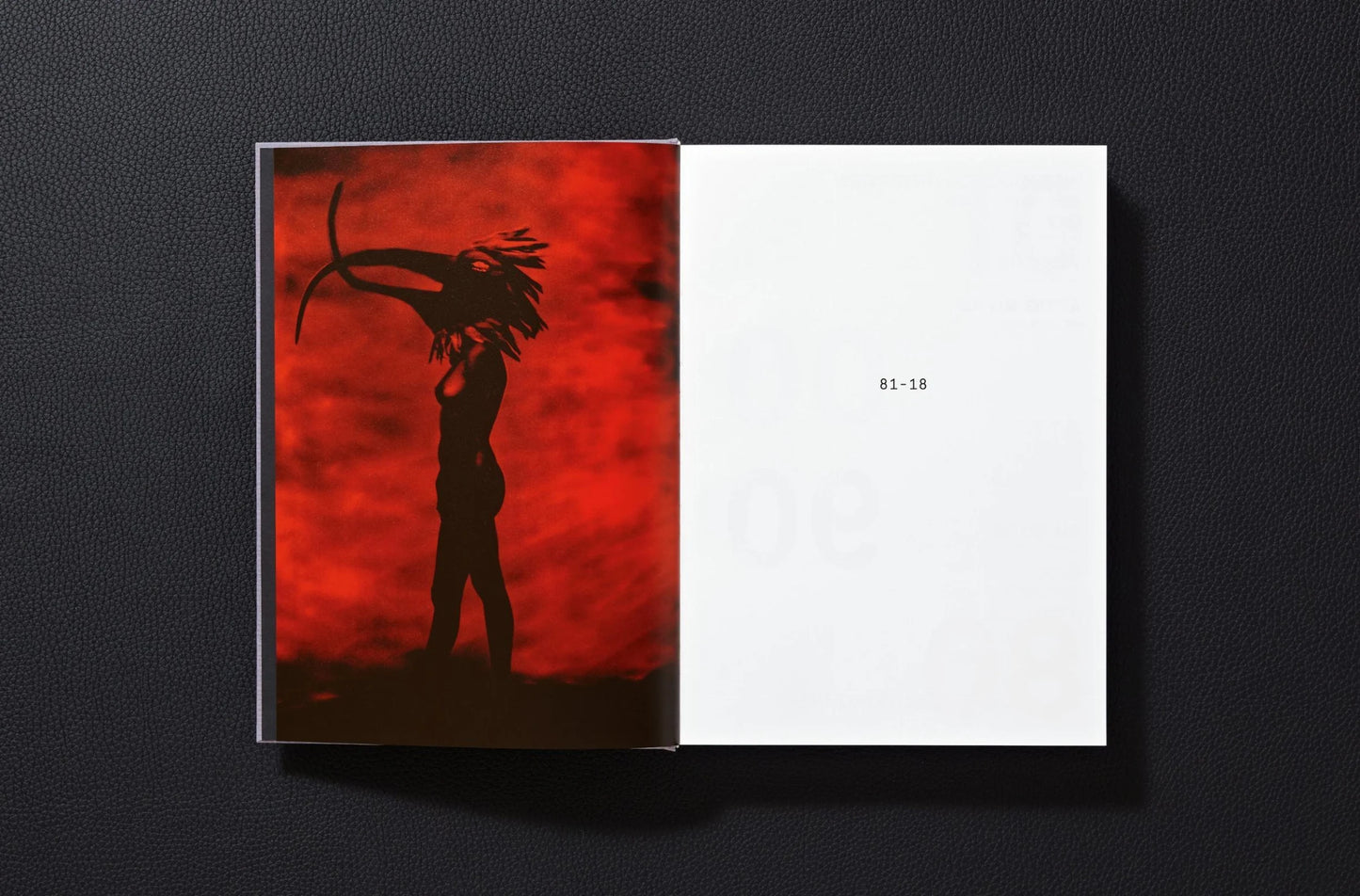 Taschen Anton Corbijn'in Depeche Mode'u