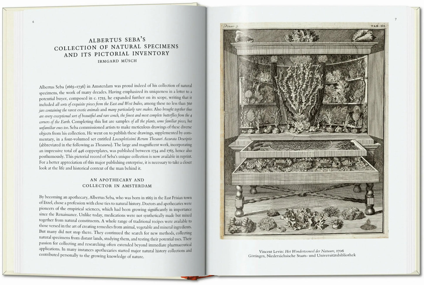 Taschen Seba. Cabinet of Natural Curiosities. 40th Ed.