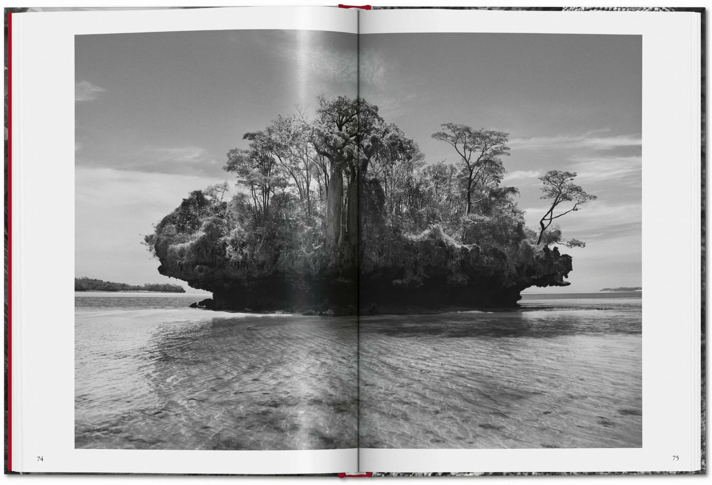 Taschen Sebastião Salgado. Genesis
