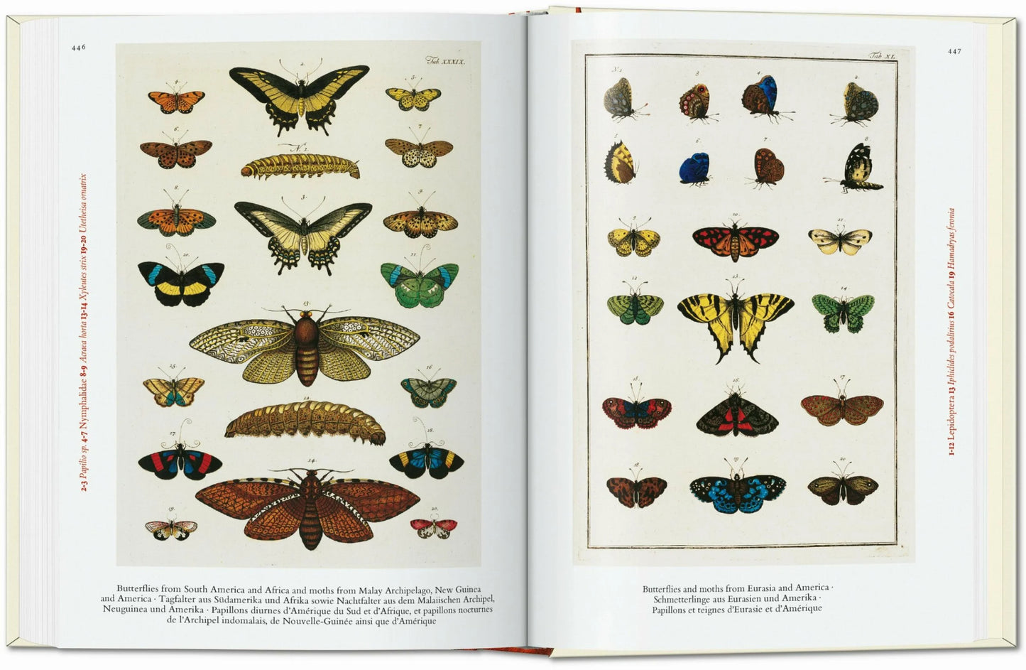 Taschen Seba. Cabinet of Natural Curiosities. 40th Ed.