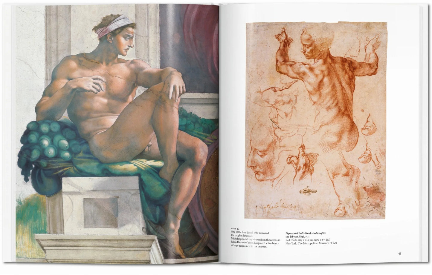 Taschen Michelangelo