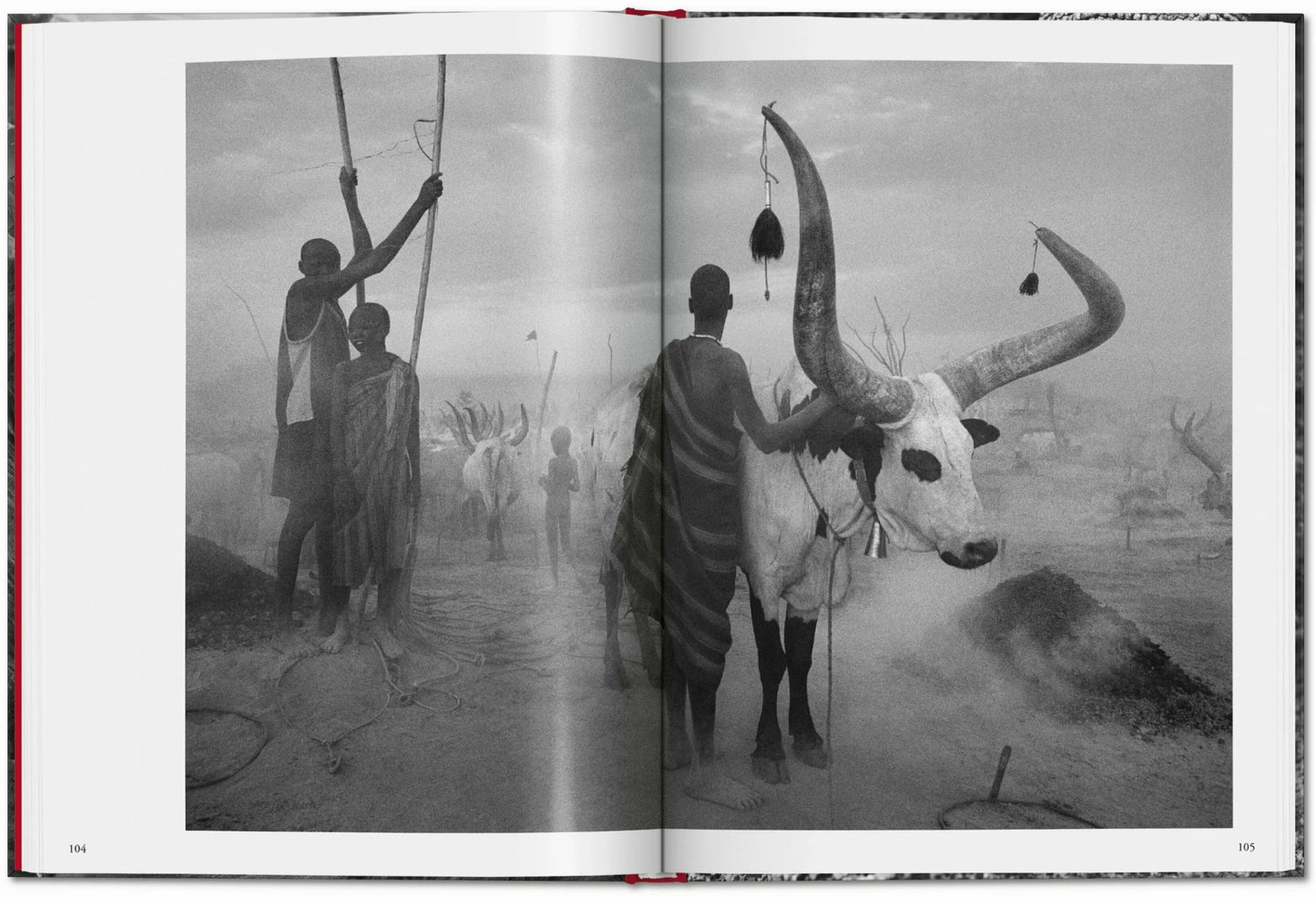 Taschen Sebastião Salgado. Genesis