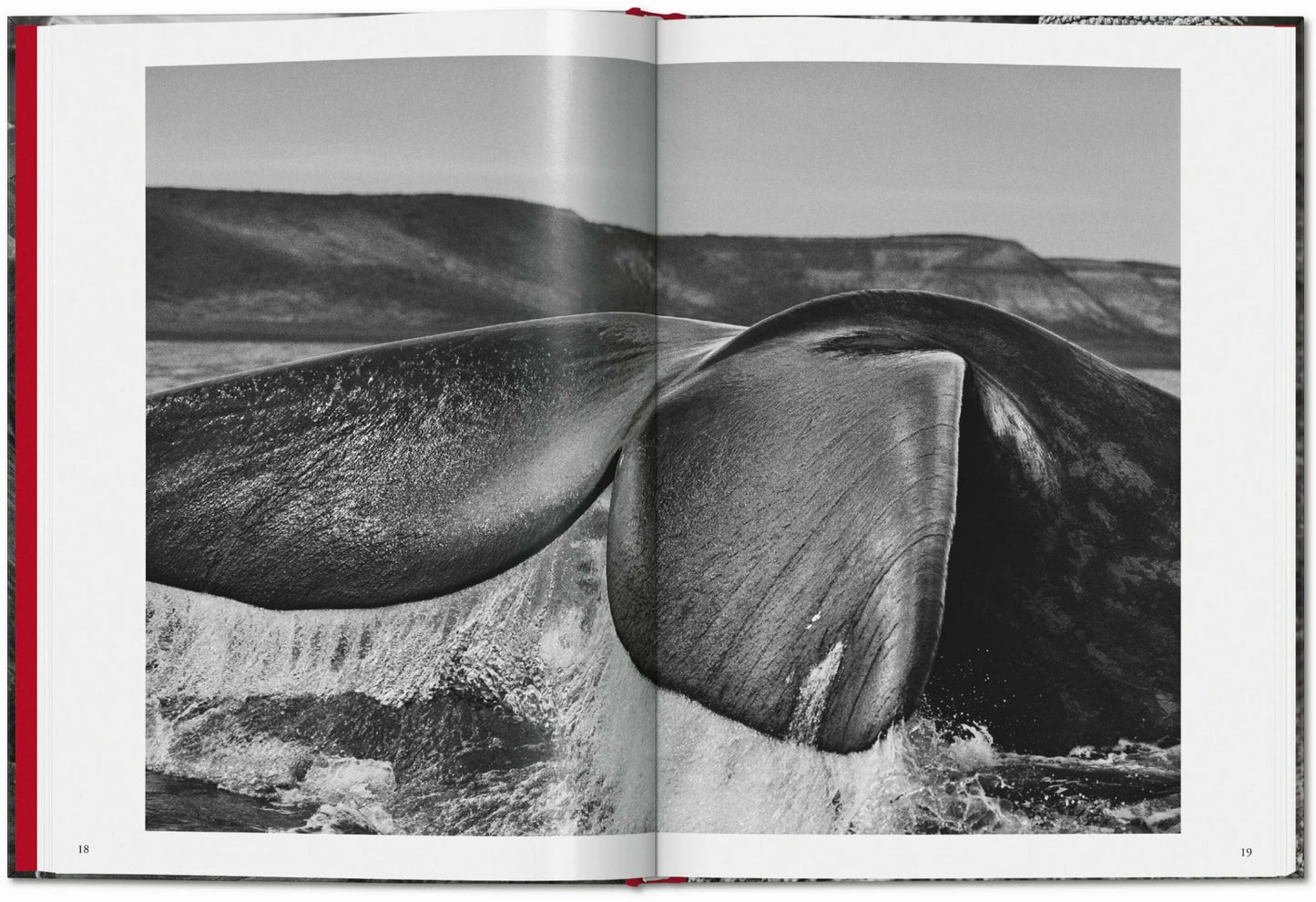 Taschen Sebastião Salgado. Genesis